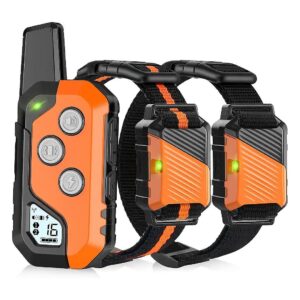 Water-Resistant Dog Shock Collar for Small Medium and Large Dog Breeds