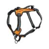 Water-Resistant No-Pull Outdoor Dog Harness with Storage and Car Restraint, Large Orange