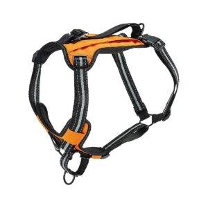 Water-Resistant No-Pull Outdoor Dog Harness with Storage and Car Restraint, Large Orange