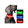 Water-Resistant Rechargeable LED Dog Collar with Adjustable Glowing Lights for Pets