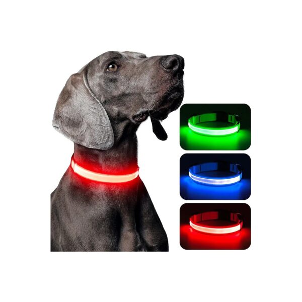 Water-Resistant Rechargeable LED Dog Collar with Adjustable Glowing Lights for Pets