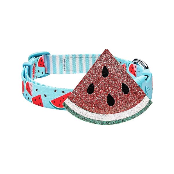 Watermelon Blue Adjustable Polyester Dog Collar with Easy Buckle