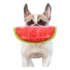 Watermelon Shaped Dog Toy with Multiple Tough Canvas Layers for Tug and Fetch Play