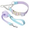 Waterproof Adjustable Martingale Dog Collar and Leash Set for Small Medium Large Dogs