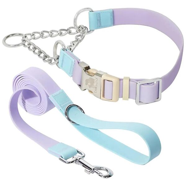 Waterproof Adjustable Martingale Dog Collar and Leash Set for Small Medium Large Dogs