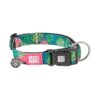 Waterproof, Adjustable, and Machine Washable Dog Collar