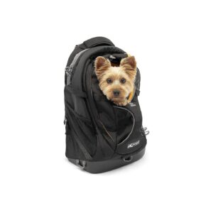 Waterproof Black Dog Carrier Backpack for Small Pets and Cats