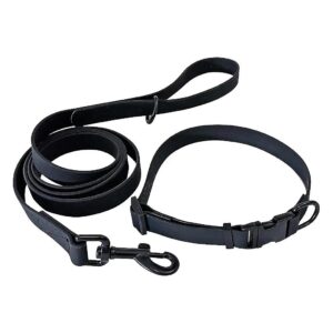 Waterproof Dog Collar and Leash for All-Weather Walking Comfort