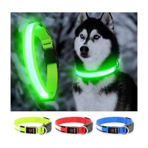 Waterproof Dog Collar with Adjustable LED Lighting for Puppies