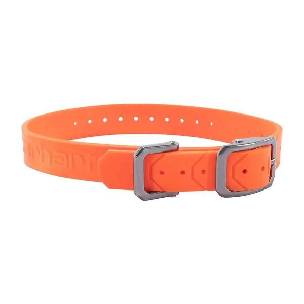 Waterproof Dog Collar with Buckle Closure and Adjustable Size