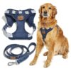 Waterproof Dog Harness and Leash Set with Adjustable Fit and Stylish Blue Pebble Pattern