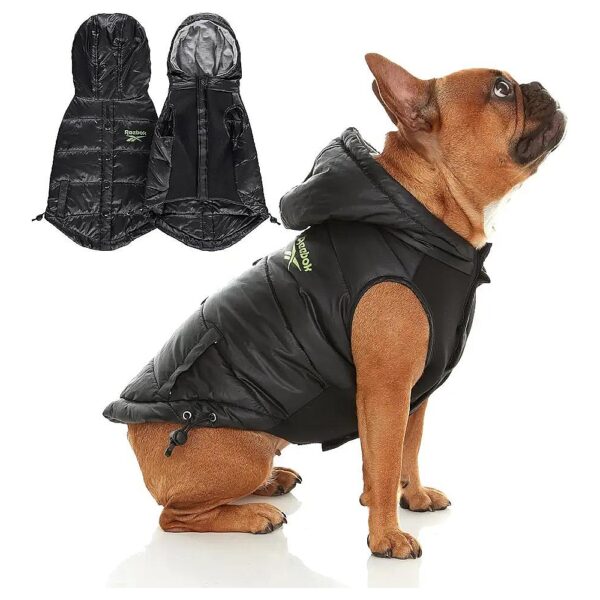 Waterproof Dog Jacket with Hoodie for Small Medium Large Dogs Winter Clothes