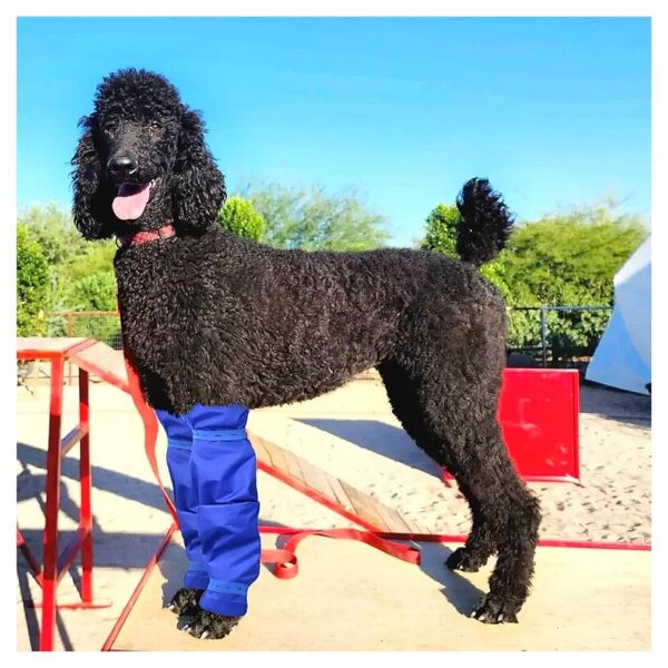 Waterproof Dog Leg Covers for Poodles and Long Haired Dogs on Rainy and Snowy Days