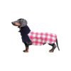 Waterproof Dog Raincoat for Small Medium