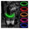 Waterproof LED Dog Collar for Small Medium Large Dogs - Green