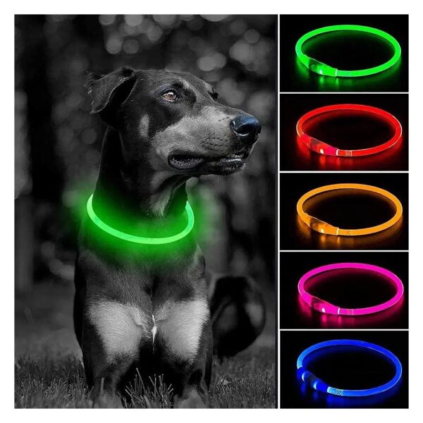 Waterproof LED Dog Collar for Small Medium Large Dogs - Green