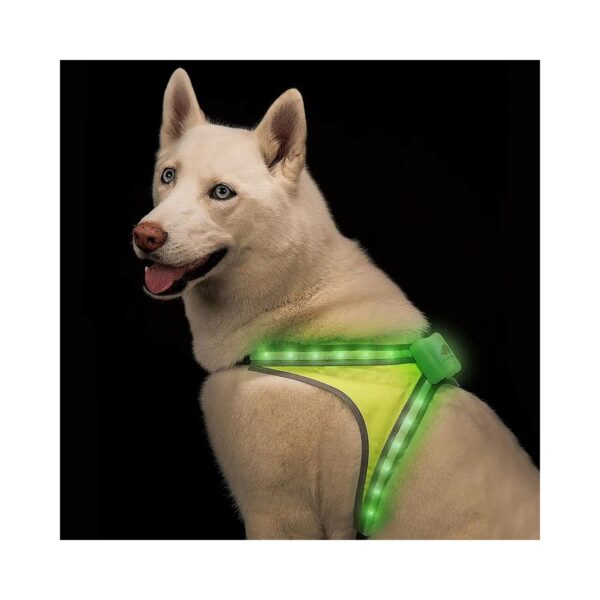 Waterproof LED Dog Harness for Large Dogs with 15 Hour Runtime and Adjustable Buckle