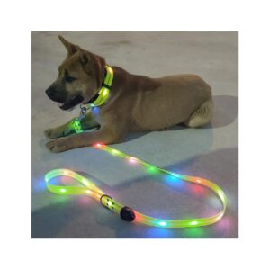 Waterproof LED Dog Leash and Collar for Pet Safety Night Walking