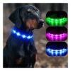 Waterproof LED Glow-in-the-Dark Dog Collar for Small Dogs with Durable Material