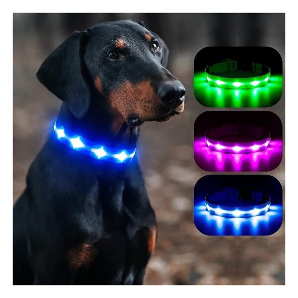 Waterproof LED Glow-in-the-Dark Dog Collar for Small Dogs with Durable Material