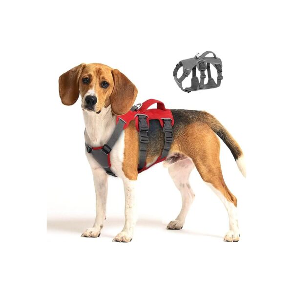 Waterproof No Pull Dog Harness for Daily Walking Training Red Chest 16-31