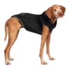 Waterproof Rain Jacket for Dogs with Adjustable Sizing, 7-9 Inch Back Length