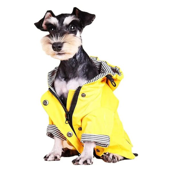 Waterproof Raincoat for Small Dogs Yellow Color and Hood Outerwear