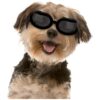 Waterproof Small Dog Sunglasses with Adjustable Band for Puppy and Cat Protection