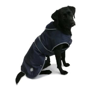 Waterproof Sports Theme Dog Coat with Fleece Lining Blue Medium