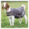 Waterproof and Breathable Goat Coat with 100g Fill for Cold Weather Protection