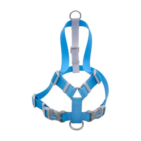 Waterproof and Durable Dog Harness for Small to Medium Dogs in Aqua Blue Color