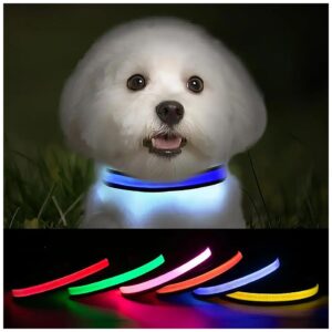 Waterproof and Durable LED Dog Collar with 3 Lighting Modes and Buckle Closure