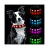 Waterproof and Durable LED Dog Collar with Nylon PVC Leather Material and Flashing Light