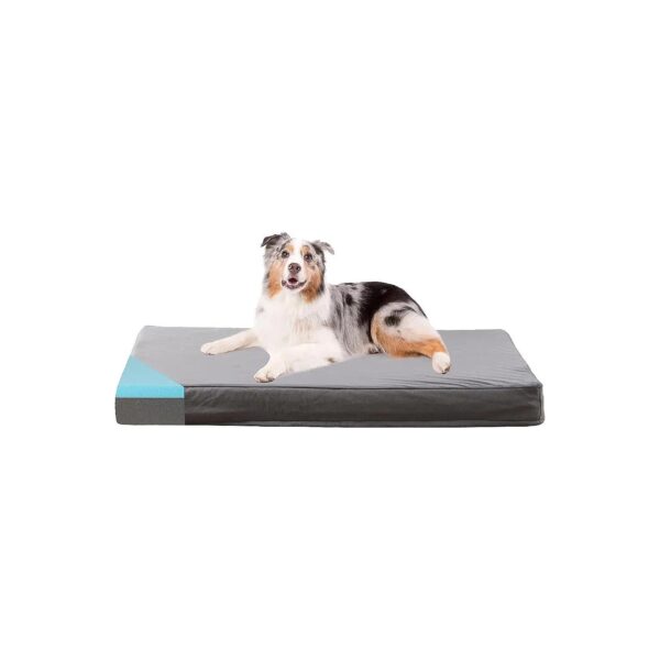 Waterproof and Non-Slip Orthopedic Dog Bed with Removable Washable Cover