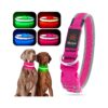 Waterproof and Rust-Proof Pink LED Dog Collar with LED Flashing Safety Light