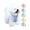 Wearing Small Dog Harness with Velcro Closure and Reflective Strip - Baby Blue XS