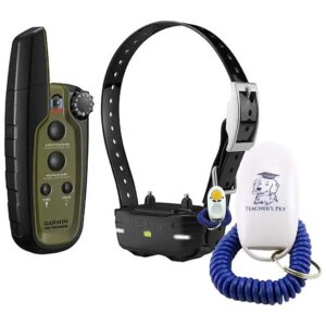 Weather Dog Training Collar with Compact Handheld Device and Water-Resistant Design