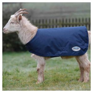 Weather-Resistant Dog Coat, Navy Blue, 100g Polyfill Insulation, XXL Size