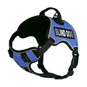 Weather-Resistant No-Pull Dog Harness with Reflective Accents and Blue Color