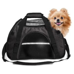 Weather-Resistant Pet Carrier Tote Bag with Breathable Windows and Interior Padding