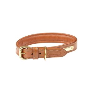 Weather-Resistant Tan Dog Collar with Padded Leather and Brass Fittings