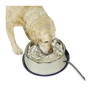 Weatherproof Heated Stainless Steel Pet Water Bowl 102 Ounces for Outdoor Pets