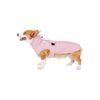 Weatherproof Raincoat for Medium Dogs with Leash Hole and Reflective Strip