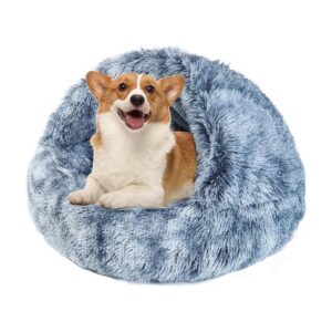 Welcoming Wonders for Small Pets with Round and Hooded Beds and Soft Cushions