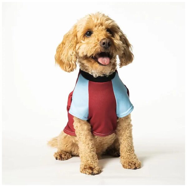 West Ham FC Dog Football Shirt Officially Licensed for Small Medium Large Breed Dogs