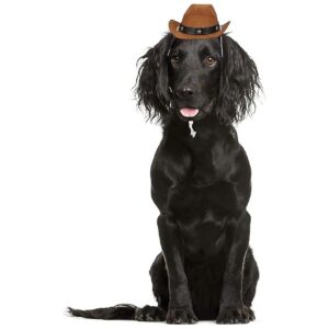 Western Style Coffee Dog Hat Party Prop Cap for Dogs and Cats