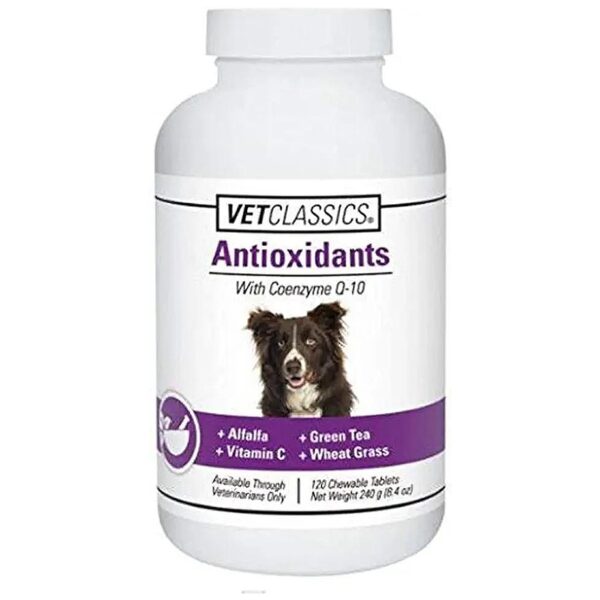 Wheat Flavor Antioxidant Supplement for Dogs and Cats with Coenzyme Q-10 and Vitamin C