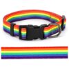 Whimsical Rainbow Flag Dog Collar for Pride LGBTQ Parade With Adjustable Size Options