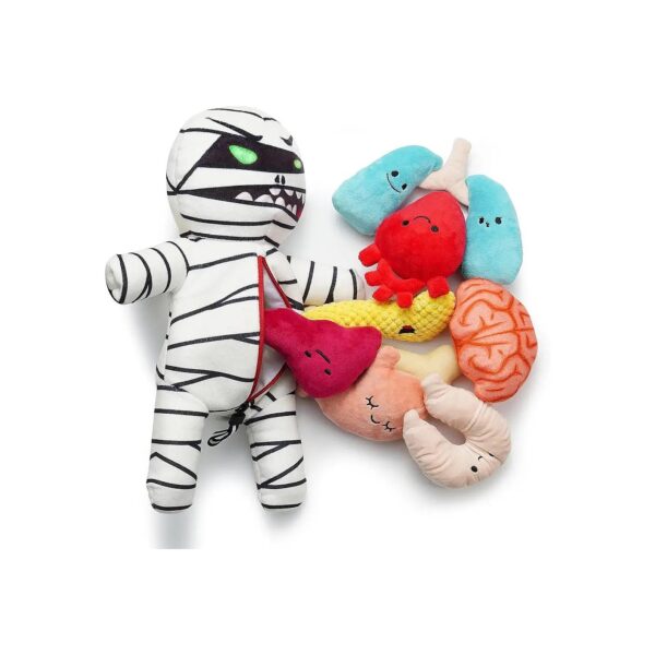 Whimsical Squeaky Mummy Dog Toy with Organs for Small Pet Puzzles and Chew Toys