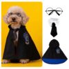 Whimsical Witch Costume Set with Cape Bowtie Glasses for Small Dogs Cats and Puppies